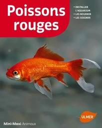 Poissons rouges (NE)