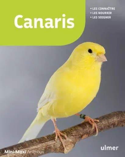 Canaris - Markus Hubl - Ulmer