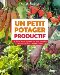 Un petit potager productif