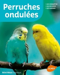 Perruches ondulées