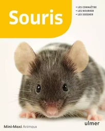 Souris