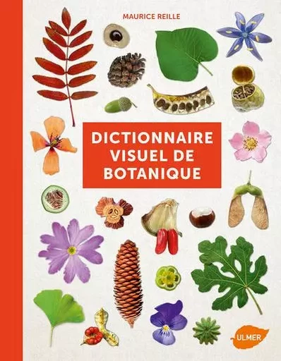 Dictionnaire visuel de botanique - Maurice Reille - Ulmer