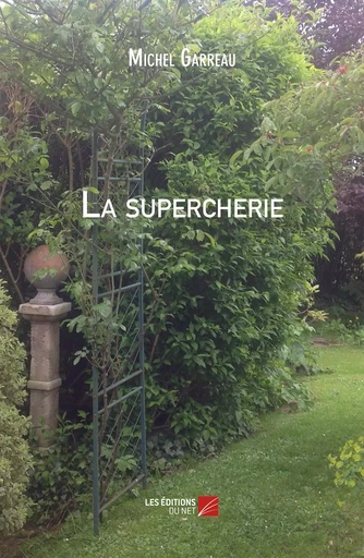 La supercherie - Michel Garreau - Les Editions du Net