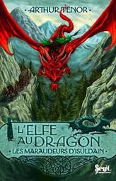 L'Elfe au dragon - Tome 1 - Les Maraudeurs d'Isuldain