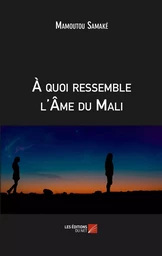 À quoi ressemble l'Âme du Mali