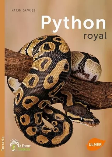 Python royal - Karim Daoues - Ulmer