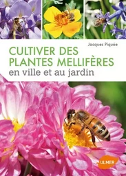 Cultiver des plantes mellifères en ville et au jardin