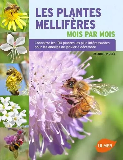 Les Plantes mellifères mois par mois - Jacques Piquée - Ulmer