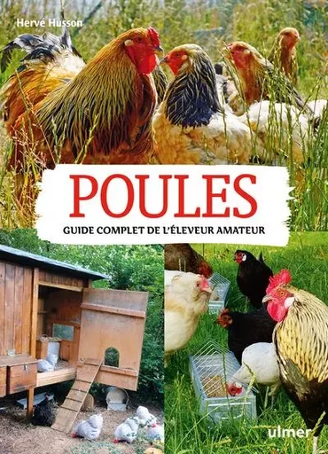 Poules. Guide complet de l'éleveur amateur - Hervé Husson - Ulmer