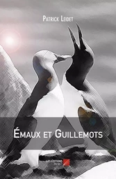 Émaux et Guillemots