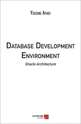 Database Development Environment