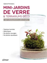 Mini-jardins de verre & terrariums déco - 20 réalisations pas à pas