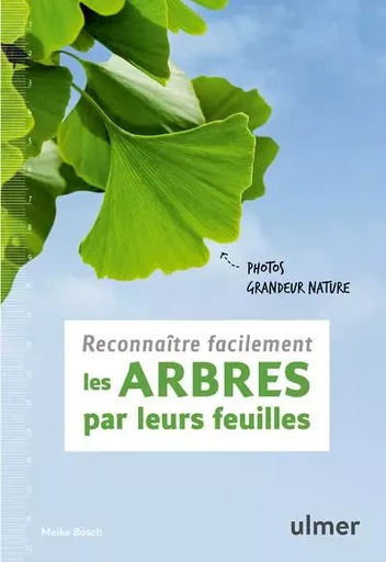 Reconnaître facilement les arbres par leurs feuilles - Photos grandeur nature - Meike Bosch - Ulmer