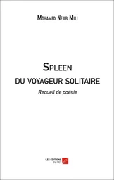 Spleen du voyageur solitaire