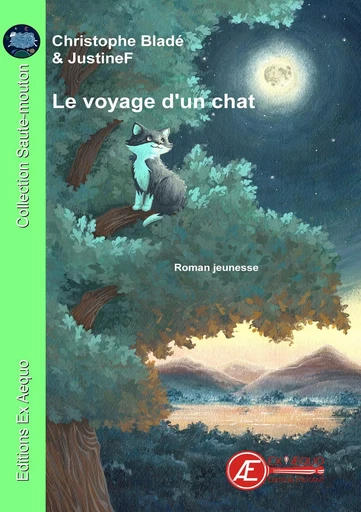 Le voyage d'un chat - livre jeunesse -  - EX AEQUO