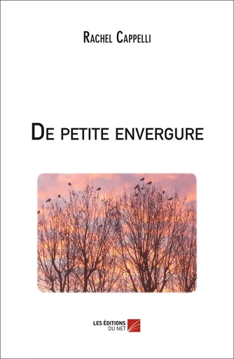 De petite envergure - Rachel Cappelli - Les Editions du Net