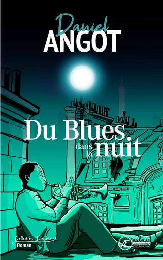 Du blues dans la nuit - roman -  - EX AEQUO