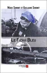 Le Fichu Bleu