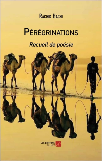 Pérégrinations - Rachid Hachi - Les Editions du Net