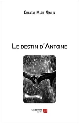 Le destin d'Antoine