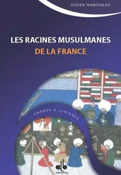 Les racines musulmanes de la France - des Sarrasins aux Ottomans