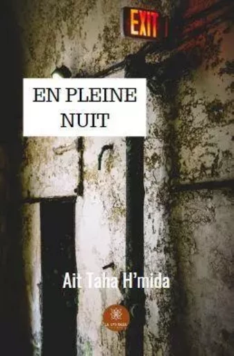 En pleine nuit - Pierre Boulanger - LE LYS BLEU