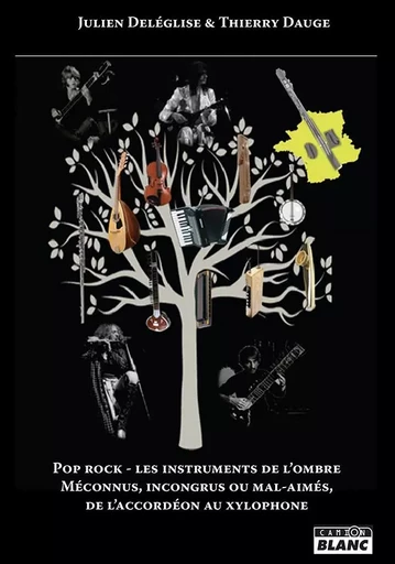 Pop rock - Les instruments de l'ombre - Julien Deleglise - CAMION BLANC