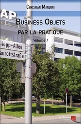 Business Objets par la pratique