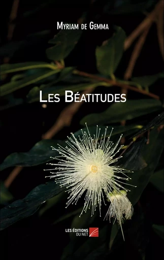 Les Béatitudes - Myriam de Gemma - Les Editions du Net