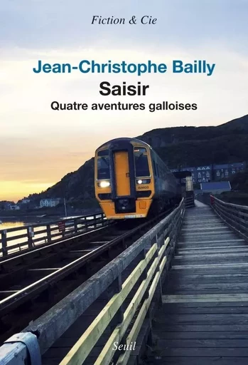 Fiction et Cie Saisir - Jean-Christophe BAILLY - LE SEUIL EDITIONS