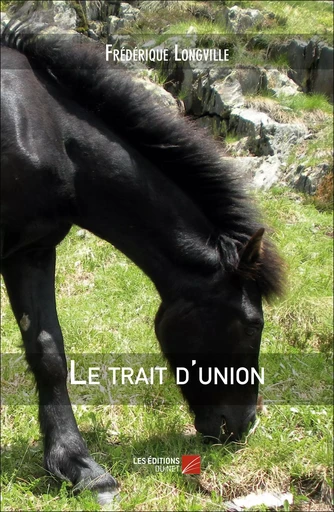 Le trait d'union - Frédérique Longville - Les Editions du Net