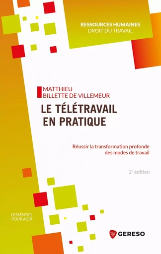 Le télétravail en pratique - Matthieu Billette de Villemeur - GERESO