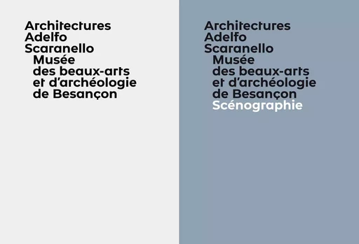 Musée des beaux-arts et d'archéologie de Besançon – Volume 1 + 2 - Adelfo Scaranello - PRESSES DU REEL