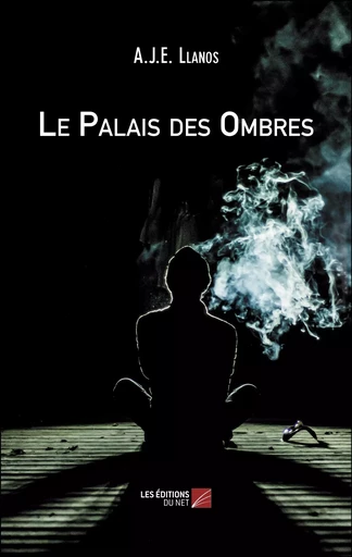 Le Palais des Ombres - A.J.E. Llanos - Les Editions du Net