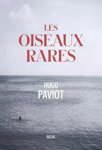 Romans français (H.C.) Les Oiseaux rares - Hugo Paviot - LE SEUIL EDITIONS