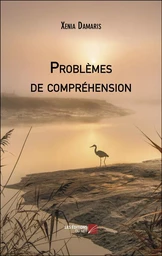 Problèmes de compréhension