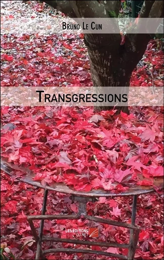 Transgressions - Bruno Le Cun - Les Editions du Net