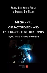 Mechanical characterization and endurance of welded joints