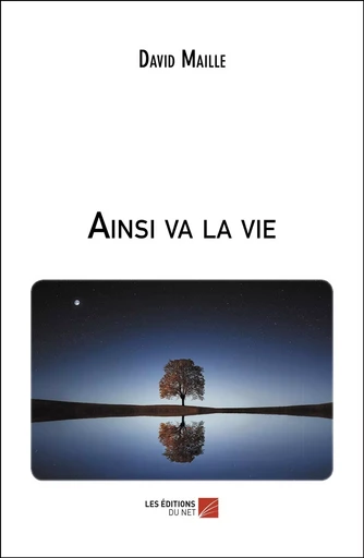 Ainsi va la vie - David Maille - Les Editions du Net