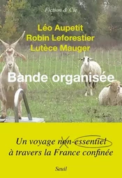 Fiction et Cie Bande organisée