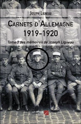 Carnets d'Allemagne 1919-1920