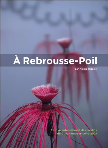 À Rebrousse-Poil - Alexis Tricoire - Les Editions du Net