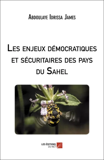 Les enjeux démocratiques et sécuritaires des pays du Sahel - Abdoulaye Idrissa James - Les Editions du Net