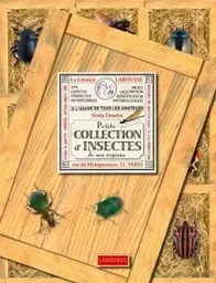 Petite collection d'insectes de nos régions