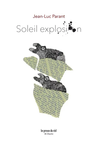 Soleil explosion - Jean-Luc Parant Parant - PRESSES DU REEL