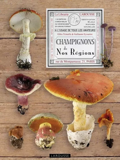 Champignons de nos régions -  Gilles Trimaille et Guillaume Eyssartier - LAROUSSE