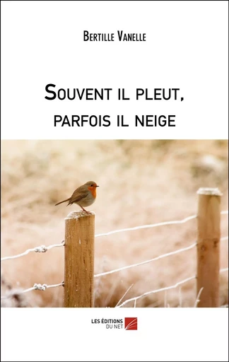 Souvent il pleut, parfois il neige - Bertille Vanelle - Les Editions du Net