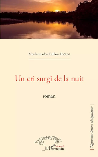 Un cri surgi de la nuit. Roman - Mouhamadou Falilou Dioum - Editions L'Harmattan