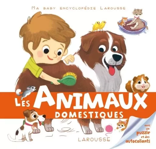 Les animaux domestiques - Sandra Lebrun - LAROUSSE