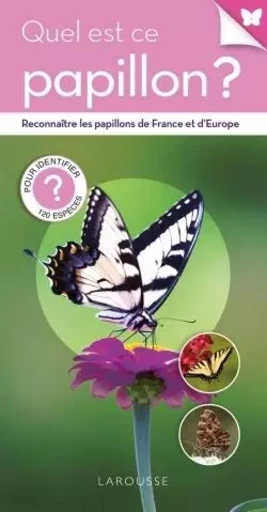 Quel est ce papillon ? - Tom Jackson - LAROUSSE